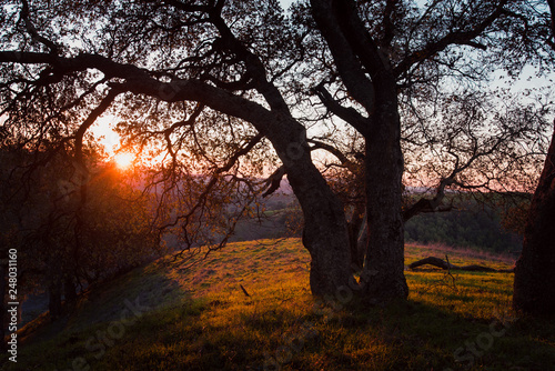 Hill sunset