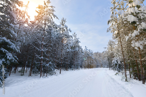 Winter road through the forest and the sun's rays Shine through the trees.