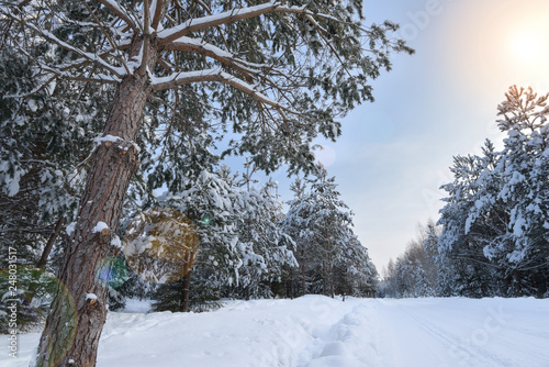 Winter road through the forest and the sun's rays Shine through the trees.