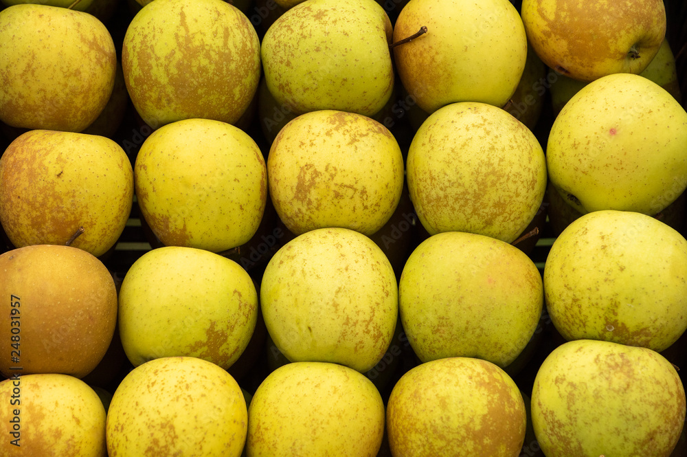 Golden fresh apple in the box at the traditional Eco farm Golden fresh apple in the box at the traditional Eco farm