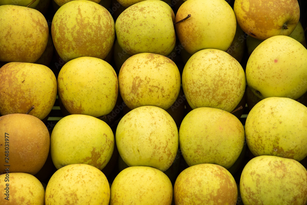 Golden fresh apple in the box at the traditional Eco farm Golden fresh apple in the box at the traditional Eco farm