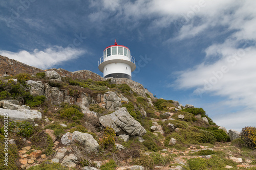 Cape of good hope, South Africa