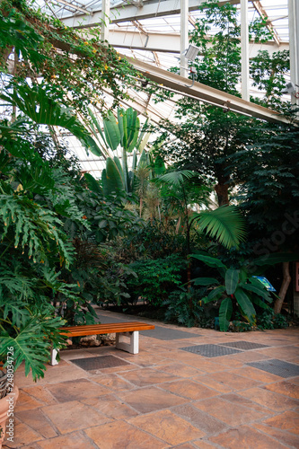 Bench in a greenhouse