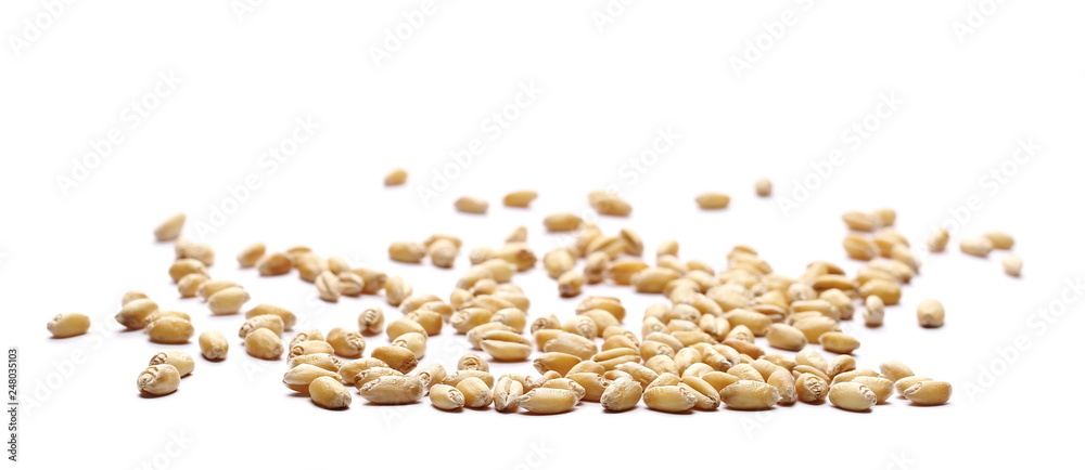Wheat pile isolated on white background Wheat pile isolated on white background