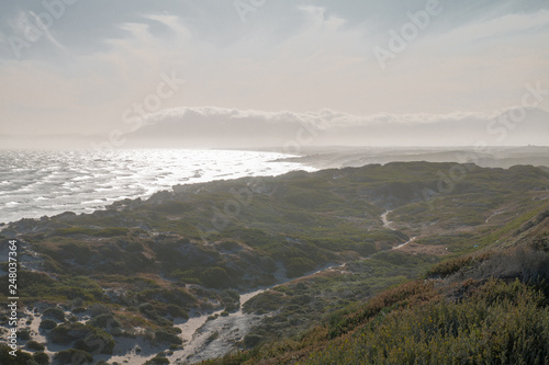 Dunes and vegetation, South Africa