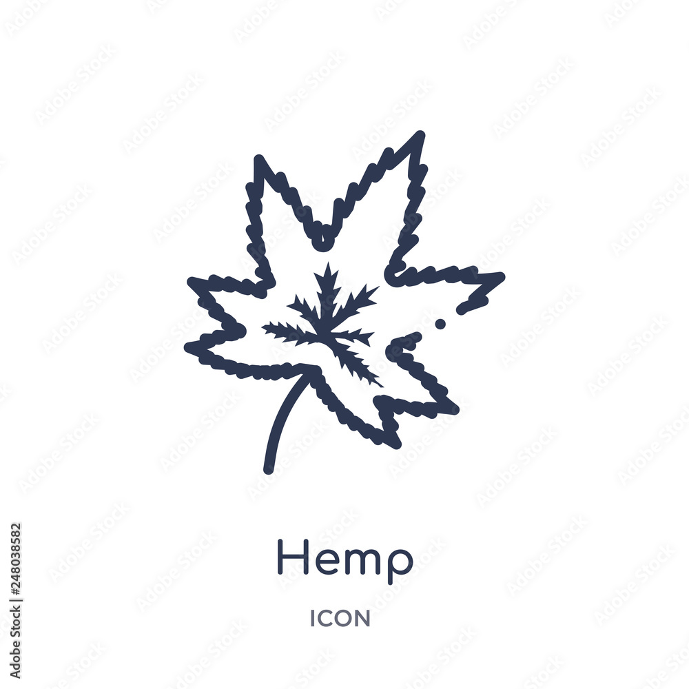 hemp icon from nature outline collection. Thin line hemp icon isolated on white background. hemp icon from nature outline collection. Thin line hemp icon isolated on white background.