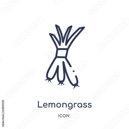 lemongrass icon from nature outline collection. Thin line lemongrass icon isolated on white background.