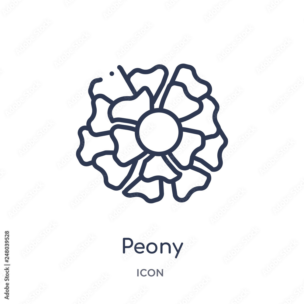 peony icon from nature outline collection. Thin line peony icon isolated on white background. peony icon from nature outline collection. Thin line peony icon isolated on white background.