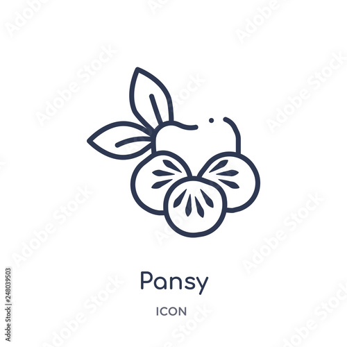 pansy icon from nature outline collection. Thin line pansy icon isolated on white background.