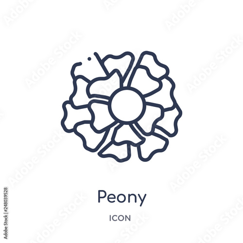 peony icon from nature outline collection. Thin line peony icon isolated on white background.