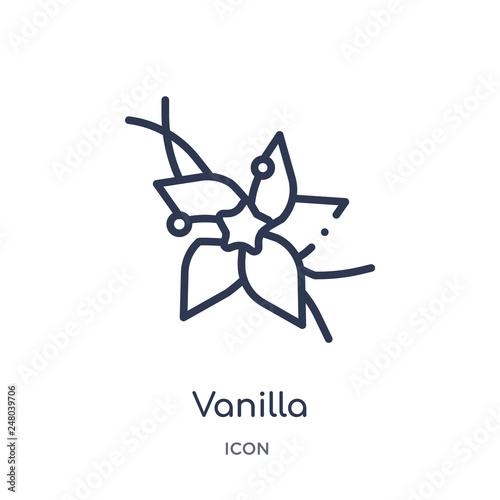 vanilla icon from nature outline collection. Thin line vanilla icon isolated on white background.