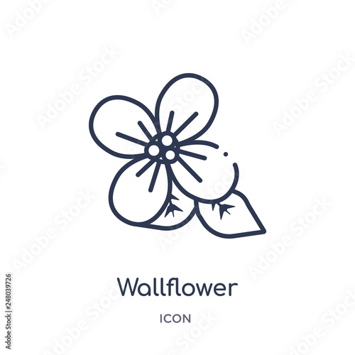 Foto wallflower icon from nature outline collection