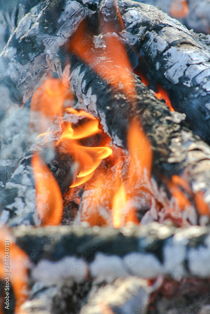 warm fireplace with lots of trees ready for barbecue warm fireplace with lots of trees ready for barbecue