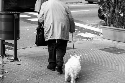 Old grandmother walking a white dog on a leash on a street of Barcelona, Spain. Grandma is coming to a pedestrian crossing. Black and white photo. photo