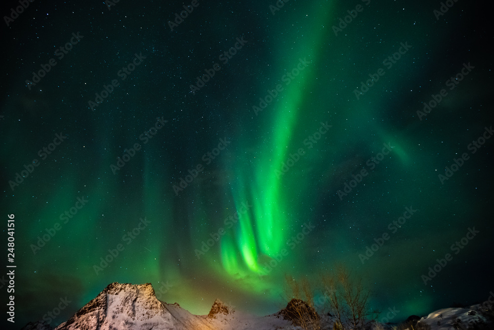 northern Lights, aurora borealis,  Lofoten Islands, Norway
