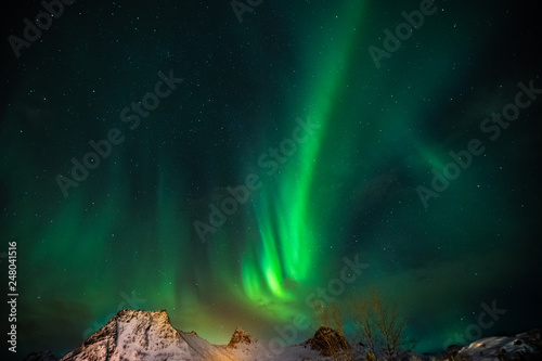 northern Lights, aurora borealis, Lofoten Islands, Norway