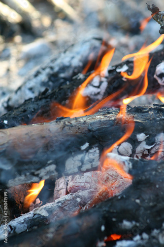 fire in nature . Bonfire in the forest © daily_creativity