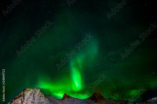 northern Lights, aurora borealis, Lofoten Islands, Norway © Giuma