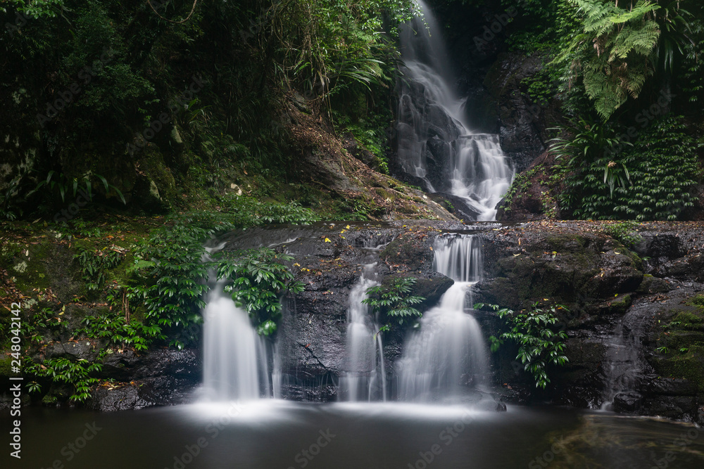 Elabana Falls, Lamington National Park, Australia