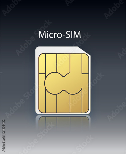 Vector Mobile Cellular Phone Sim Card Chip Isolated on Background. Vector stock illustration.