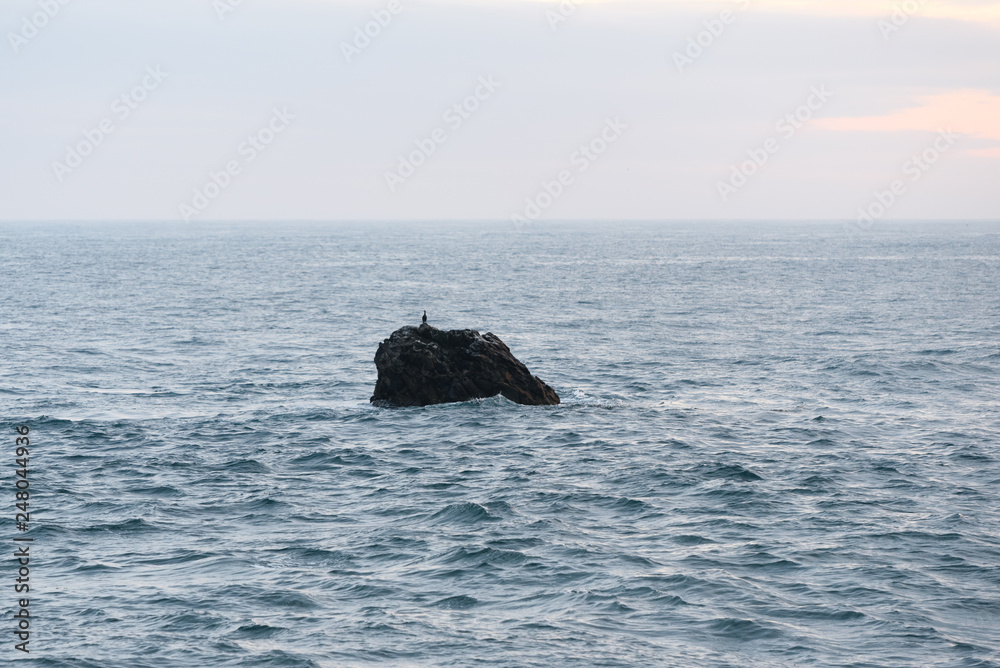 Fototapeta premium Küste in der Bretagne in Frankreich