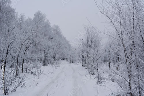 Snowy winter road in the forest with trees covered by hoarfrost. © Happy Dragon