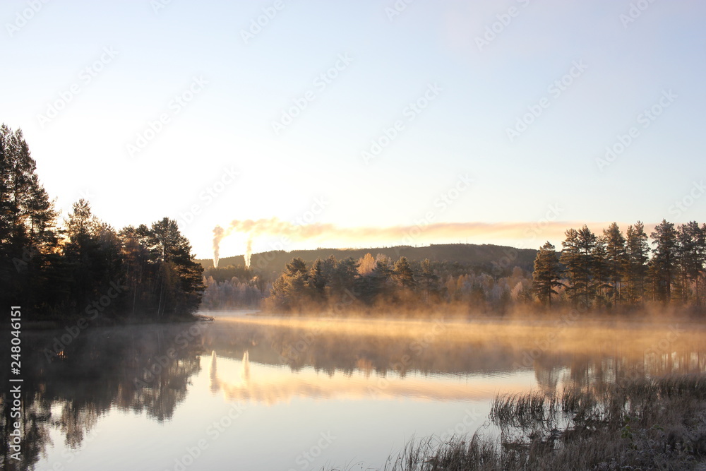 Fototapeta premium Morning mist