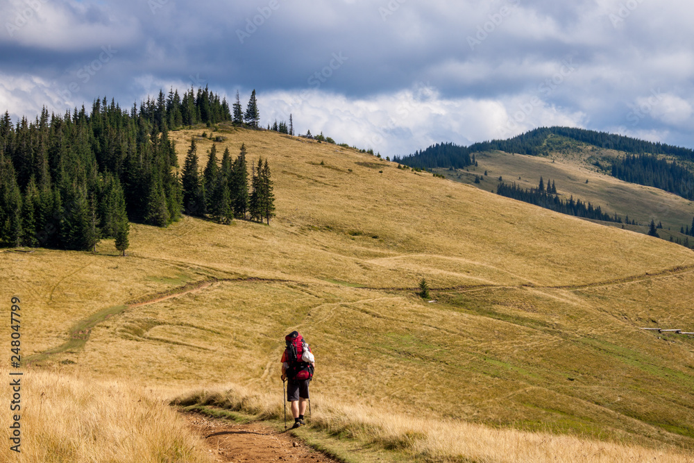 Fototapeta premium The Carpathians mountains