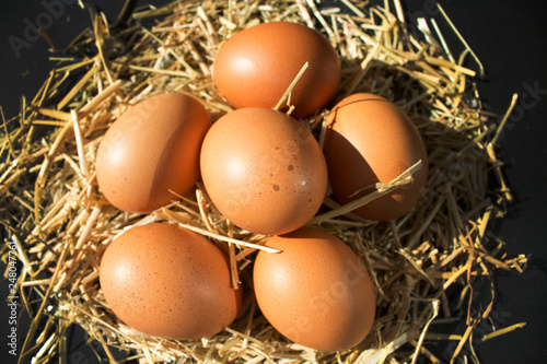 six fresh raw eggs with freckles on the hay on black background