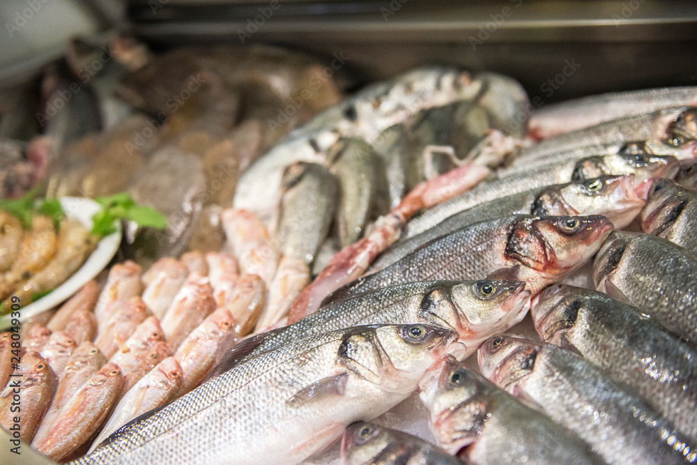 Fresh raw fishes and seafoods in ice at Fish market or shop
