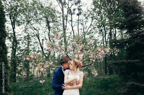 stylish bride and groom embracing and kissing in park among magnolia flowers. passionate luxury wedding couple hugging. romantic sensual moment.