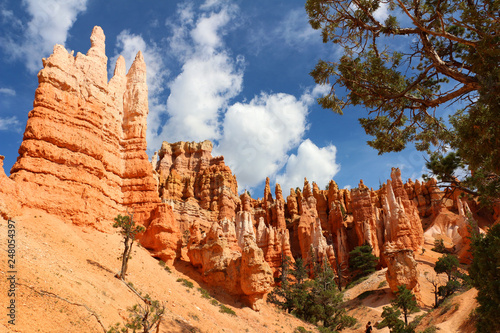 Bryce Canyon National Park is a United States National Park in Utah's Canyon Country. The spectacular Bryce Canyon - not actually a canyon, but rather a giant natural amphitheater created by erosion.