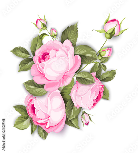 The Blooming Rose with couple of small flowers. The Botanical illustration. Awesome single flower bouquet. Vector illustration.