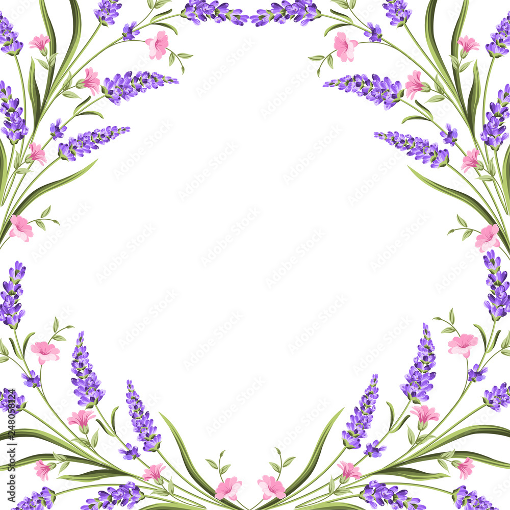 Elegant card with lavender flowers in watercolor paint style. The lavender frame and text. Lavender border for your text presentation. Vector illustration.