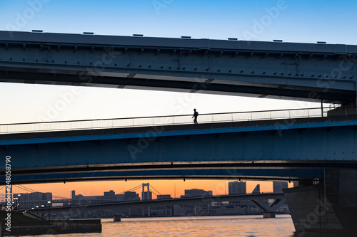 レインボーブリッジと豊洲大橋そして晴美大橋を渡る歩行者