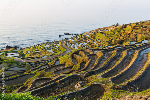 Rice terraces by the ocean on Noto Hanto Peninsula in Japan