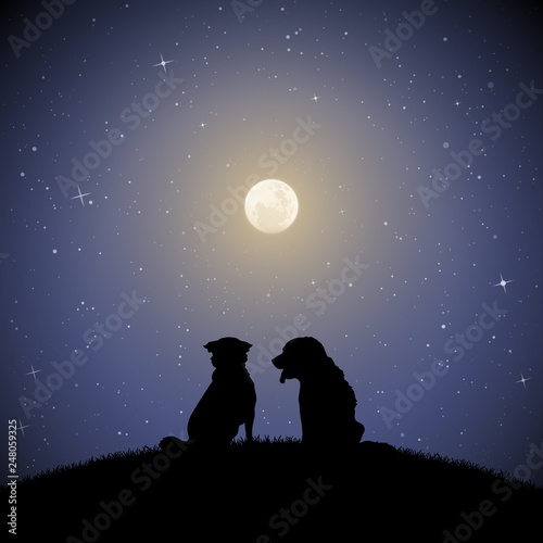 Dog friends on moonlit night. Vector illustration with silhouettes of two animals sitting on hill in park. Full moon in starry sky