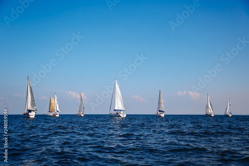 Fototapeta Naklejka Na Ścianę i Meble -  sailing on the lake
