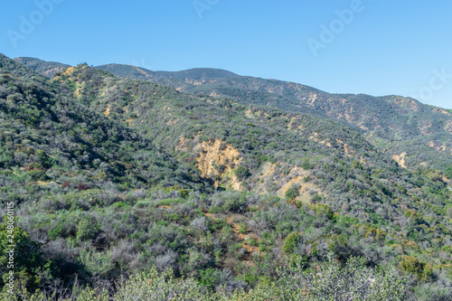 Storm damage on hillsides from rain in forest