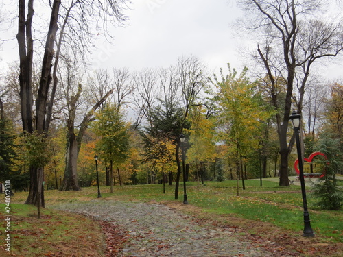 autumn in the park
