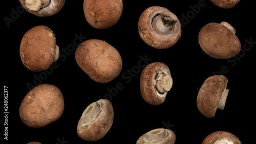 Wallpaper Mural Realistic render of falling chestnut mushrooms on black background. The video is seamlessly looping, and the 3D objects are scanned from real mushrooms. Torontodigital.ca