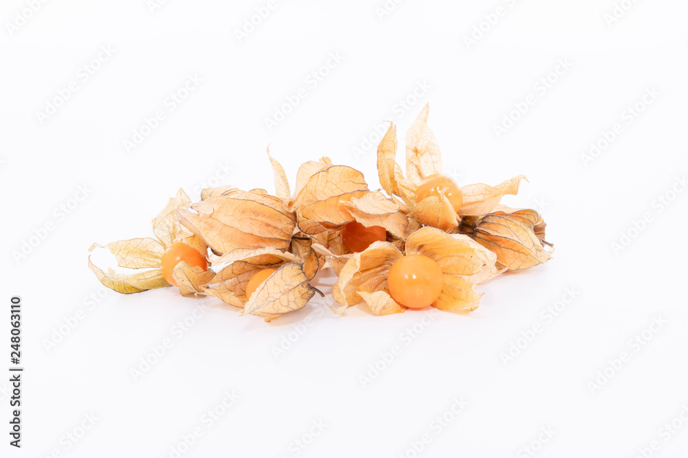 Golden berry (Physalis) isolated Golden berry (Physalis) isolated