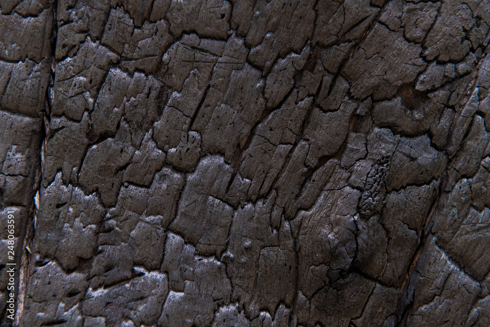 Burned tree trunk, closeup on wooden texture Burned tree trunk, closeup on wooden texture