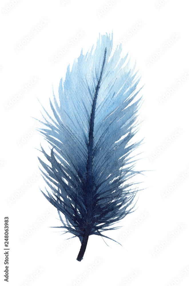 Watercolor illustration of an isolated blue feather on a white