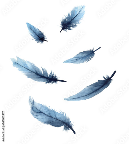 Watercolor illustration set of isolated blue feathers on a white background. Watercolour blue feathers.
