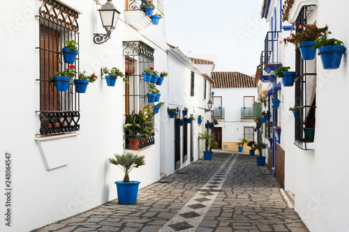 Fototapeta Naklejka Na Ścianę i Meble -  Blue Flowerpots with Flowers in Estepona Andalusia Spain