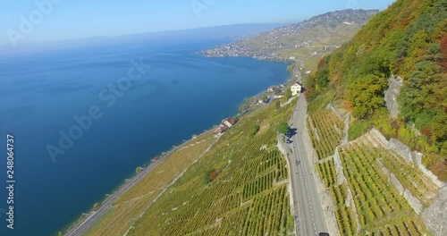 Drone lavaux vineyard  