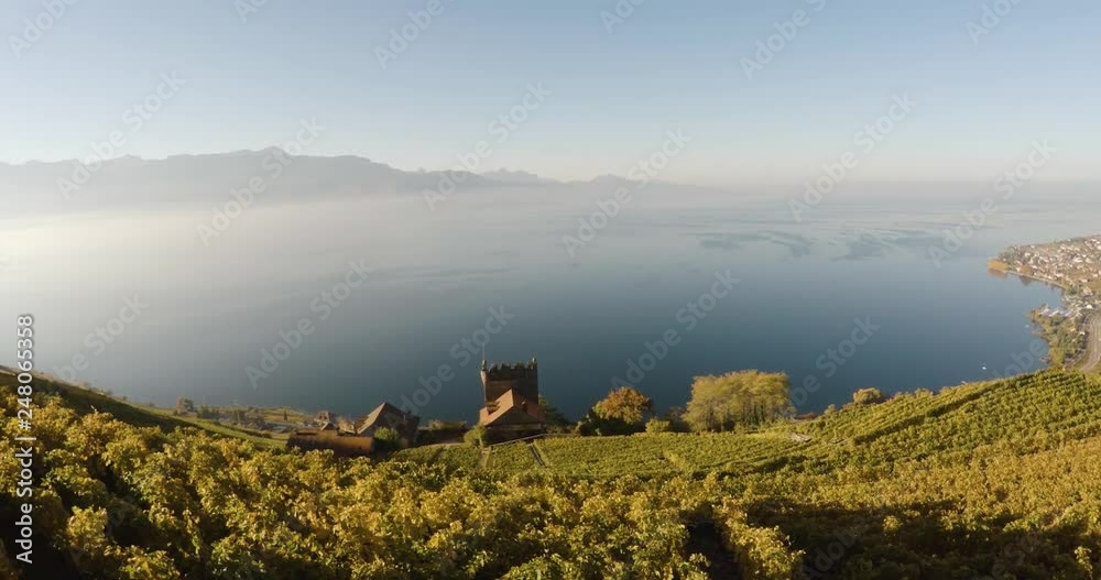 Drone lavaux vineyard  