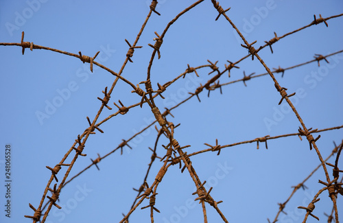 Rusty barbed wire against blue sky. War and imprisonment concepts.