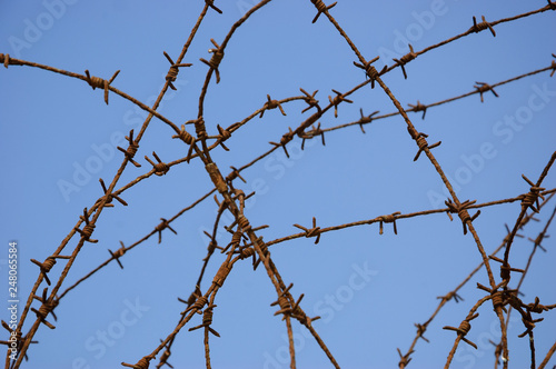 Rusty barbed wire against blue sky. War and imprisonment concepts.